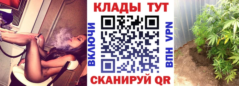 Как найти закладки Киселёвск ГЕРОИН  Меф  КОКАИН  ГАШИШ  Конопля 