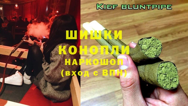 кокс Инсар