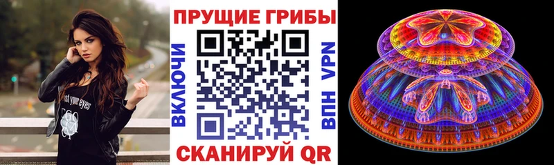 Псилоцибиновые грибы Psilocybe  Киселёвск 